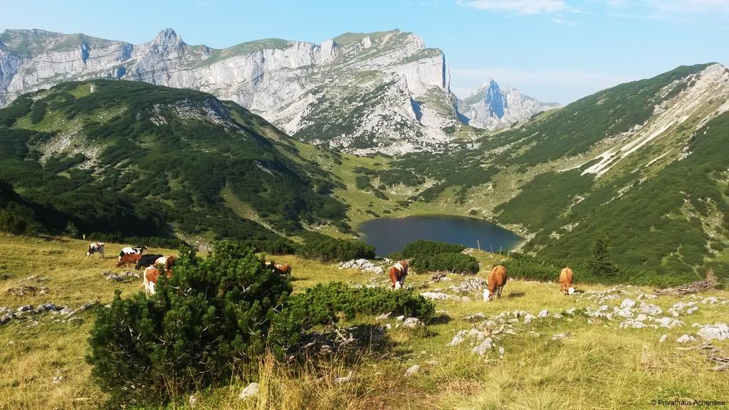 Privathaus Achensee *