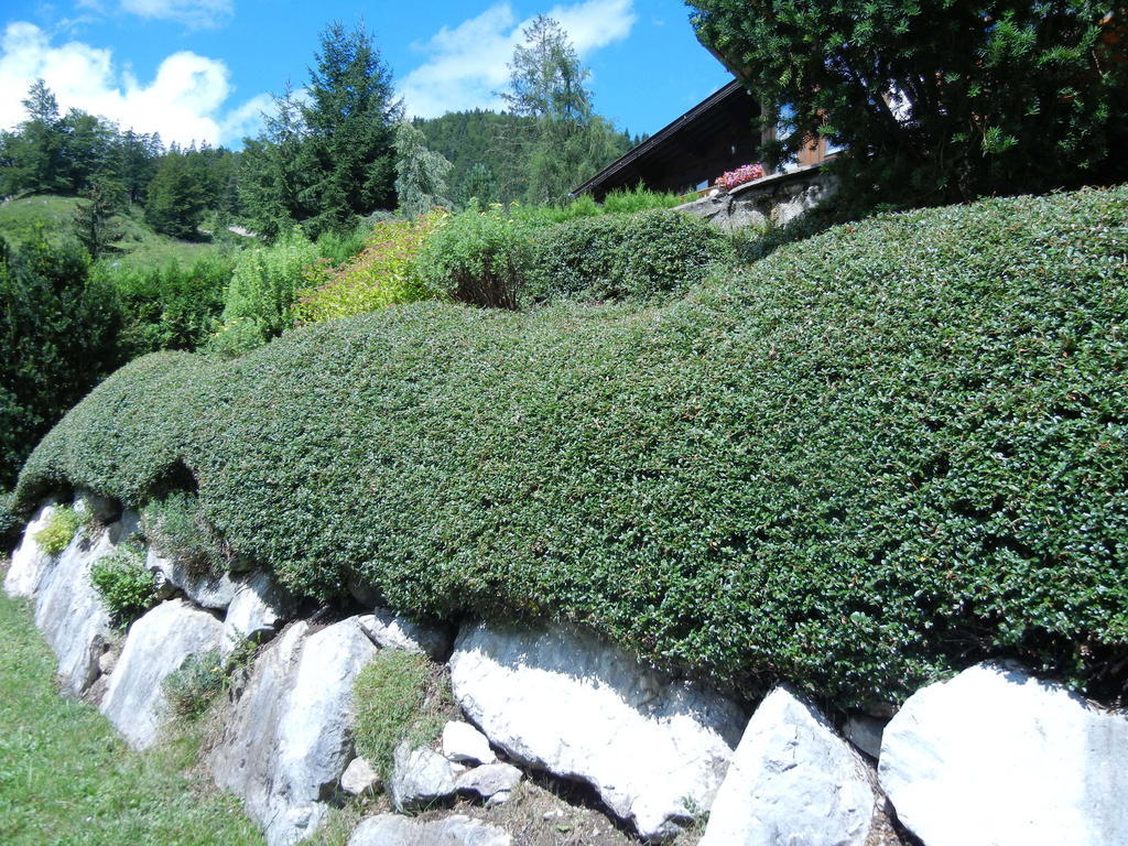 Ferienhaus Privathaus Achensee *